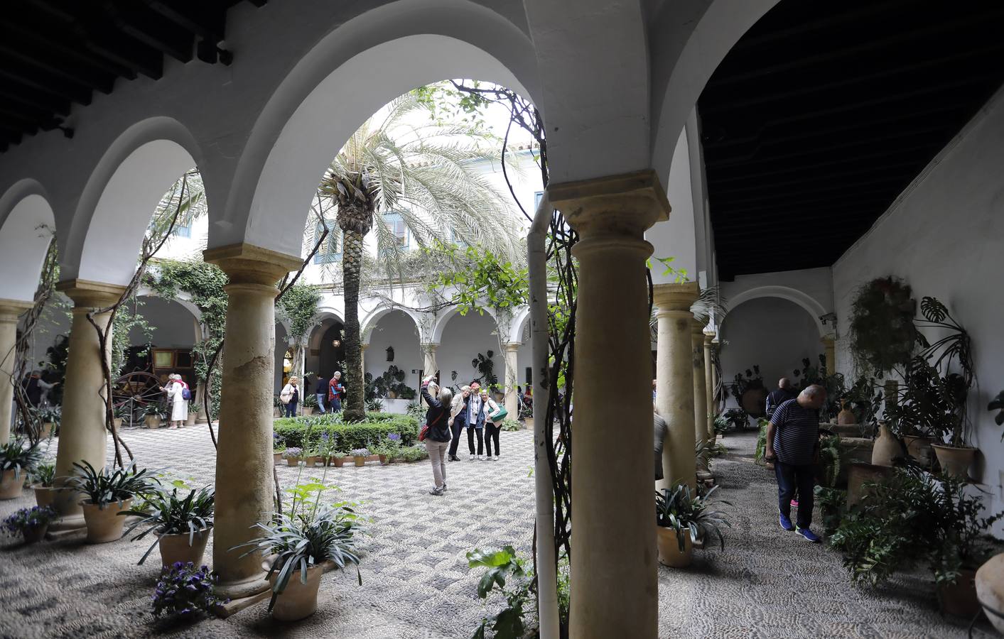 Los patios del Palacio de Viana de Córdoba, en imágenes