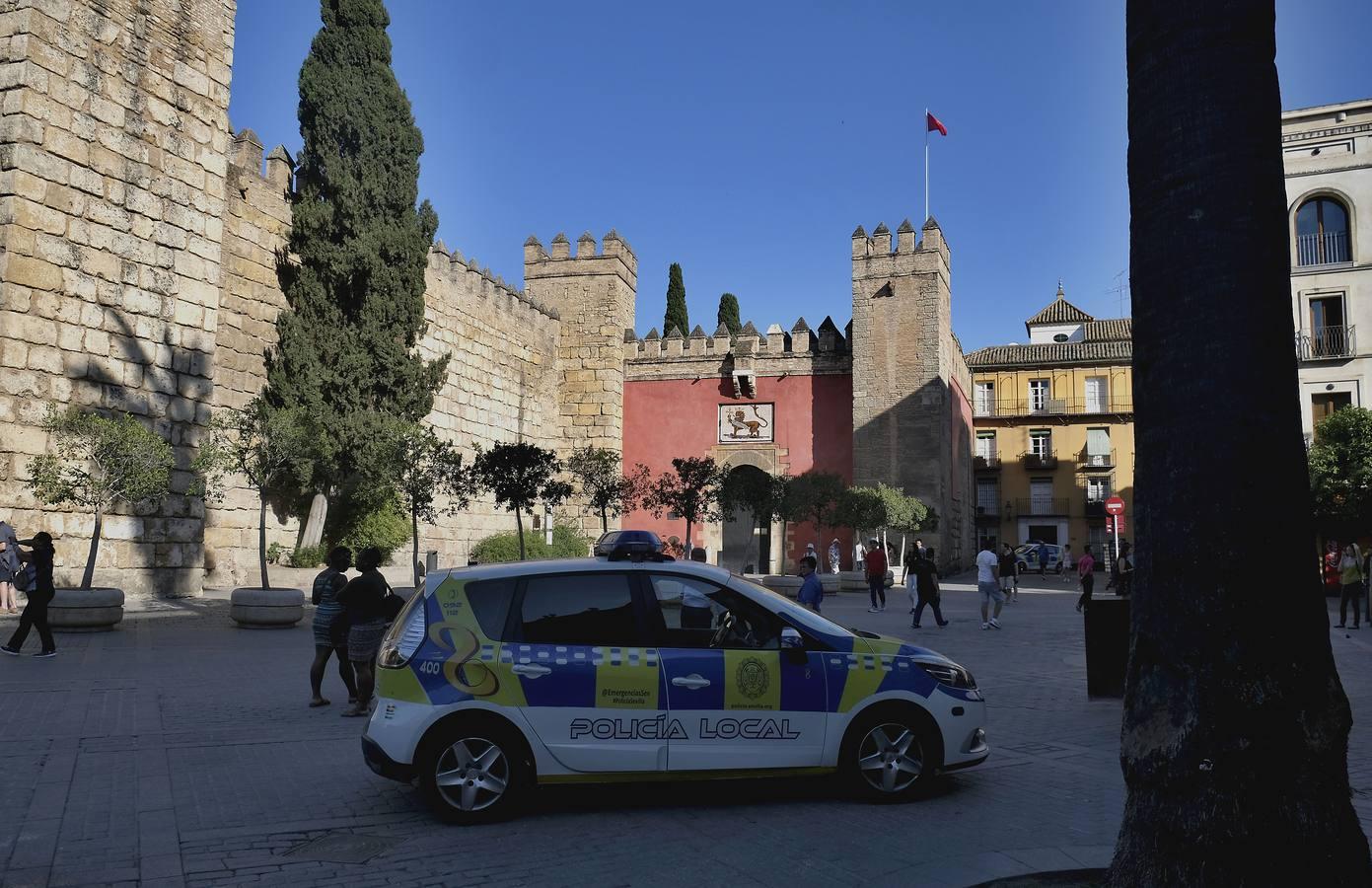 Las imágenes que ha dejado la caída del árbol en el Real Alcázar