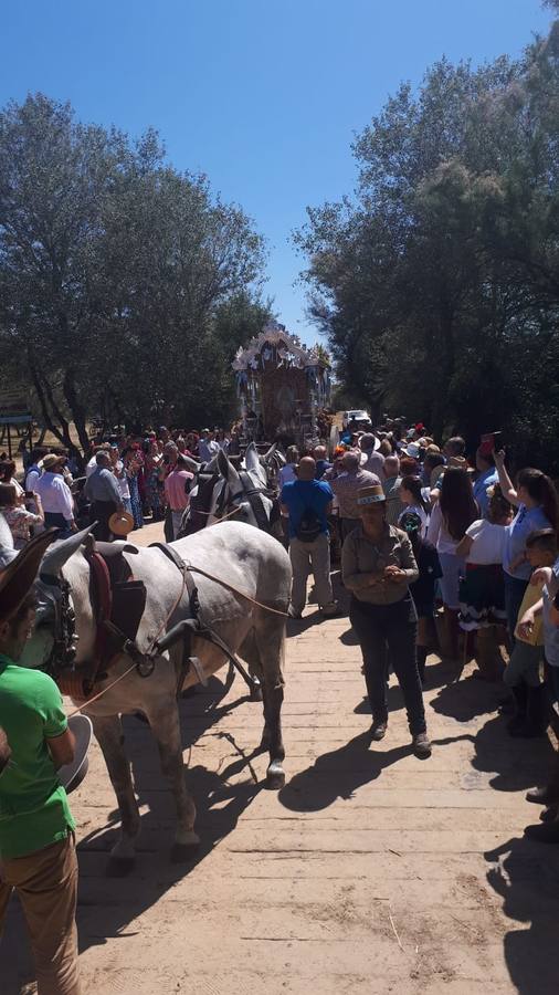 El Rocío 2018: en imágenes, el camino de las hermandades cordobesas (II)