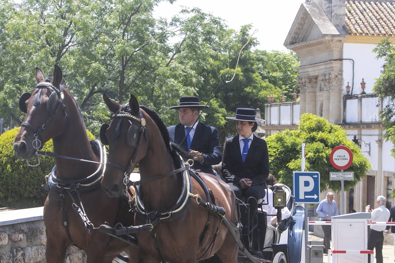 La misa y traslado del estandarte de la Virgen de la Salud de Córdoba, en imágenes