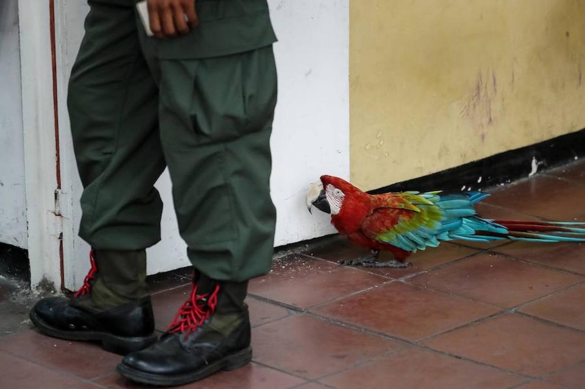 En imágenes: Los colegios electorales vacíos protagonizan la jornada electoral en Venezuela
