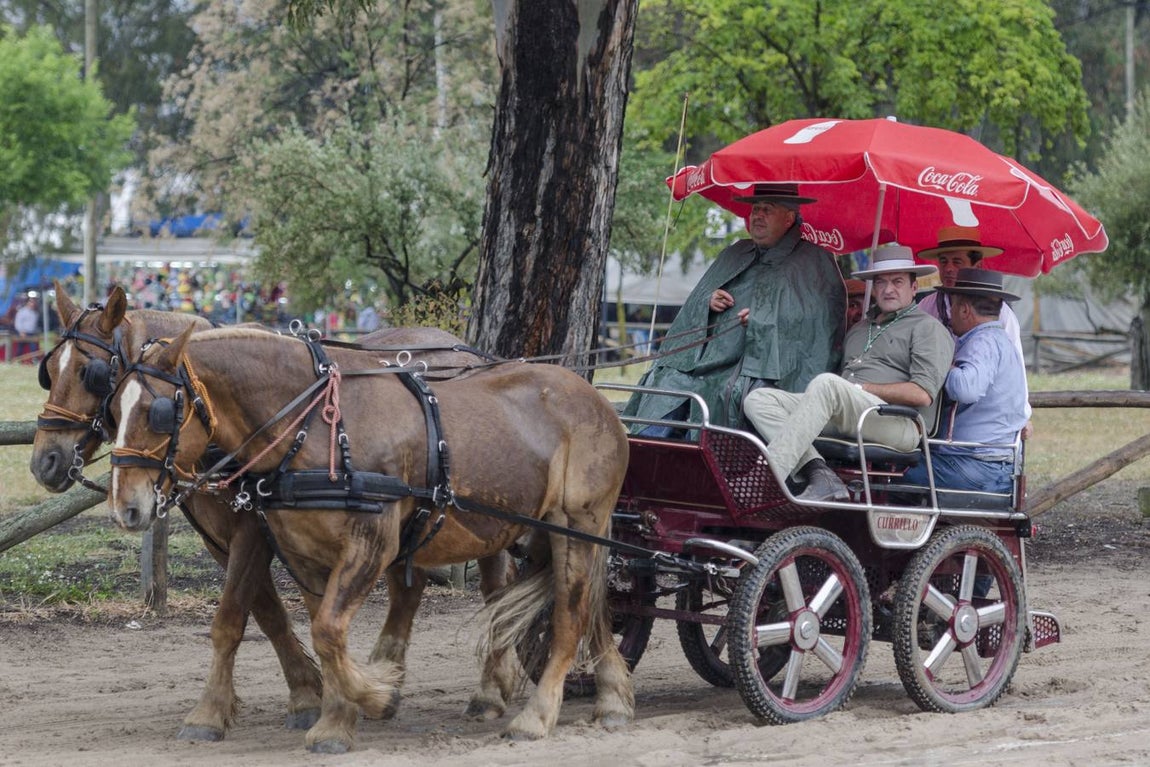 Chaparrones de mayo en el Rocío