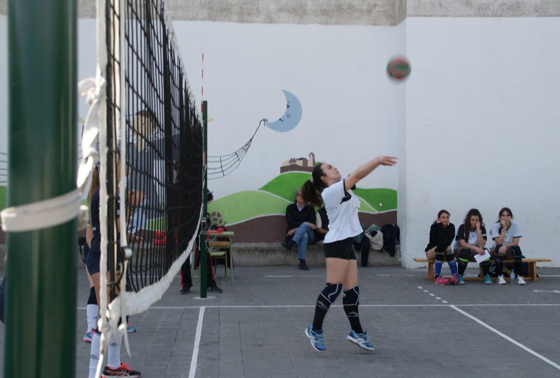 Las mejores imágenes del partido de voleibol juvenil femenino entre Raimundo Lulio y San Patricio Soto