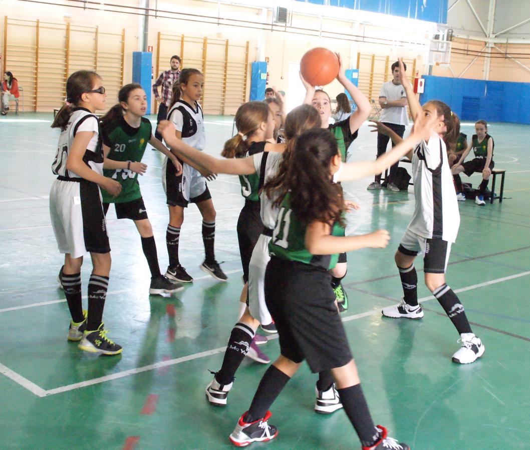 Las mejores imágenes del partido de baloncesto alevín femenino entre Valdefuentes y Patrocinio San José