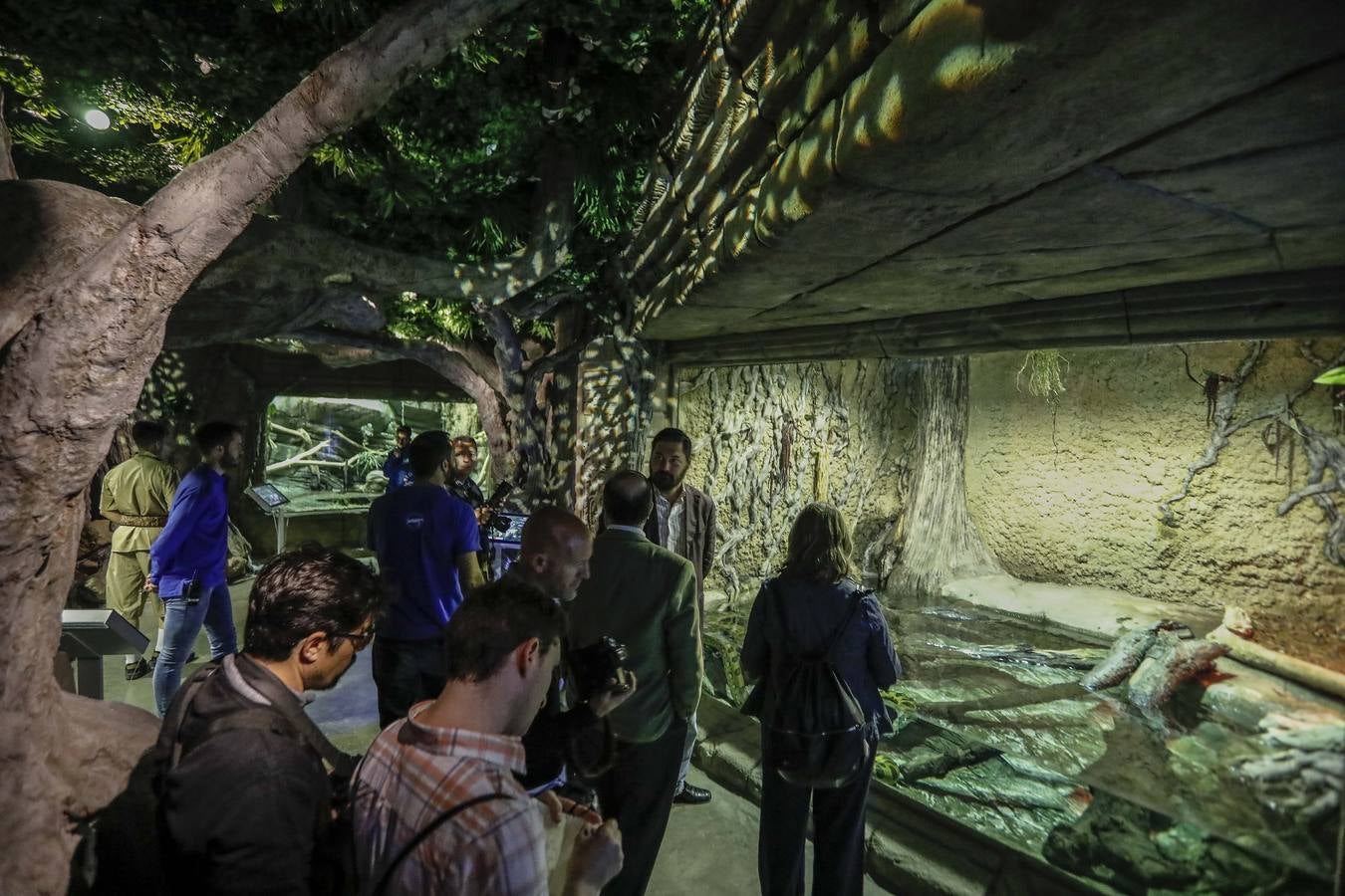 El imágenes, el nuevo acuario abre sus puertas