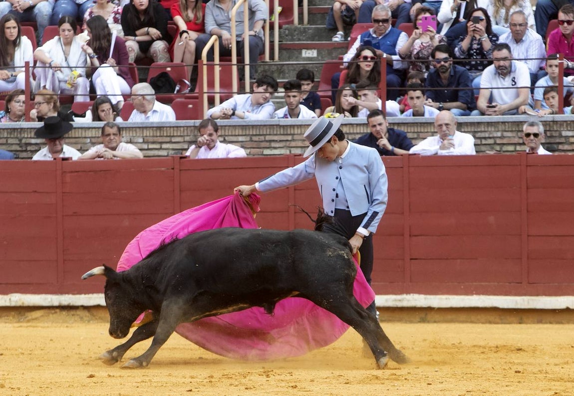 La Becerrada por la mujer cordobesa, en imágenes