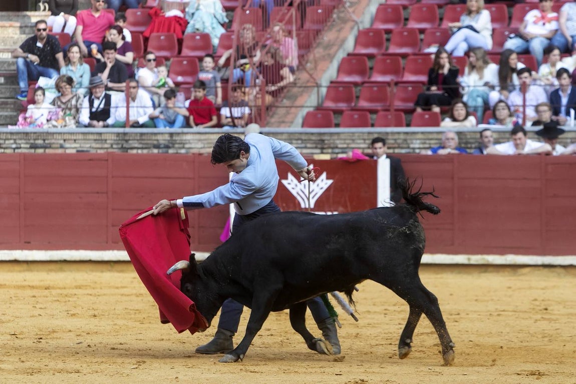La Becerrada por la mujer cordobesa, en imágenes