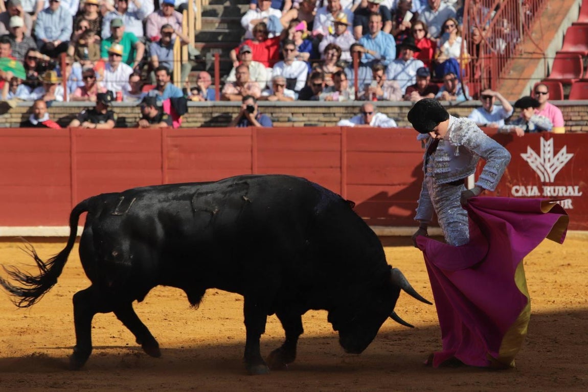 En imágenes, la corrida de Finito, Morante y Roca Rey en Córdoba