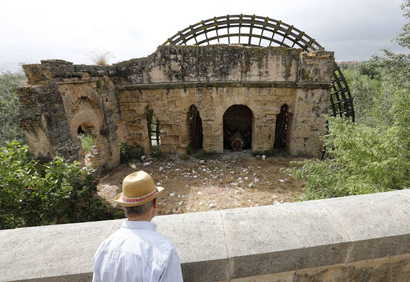 En imágenes, el deterioro de rincones históricos en el Casco de Córdoba