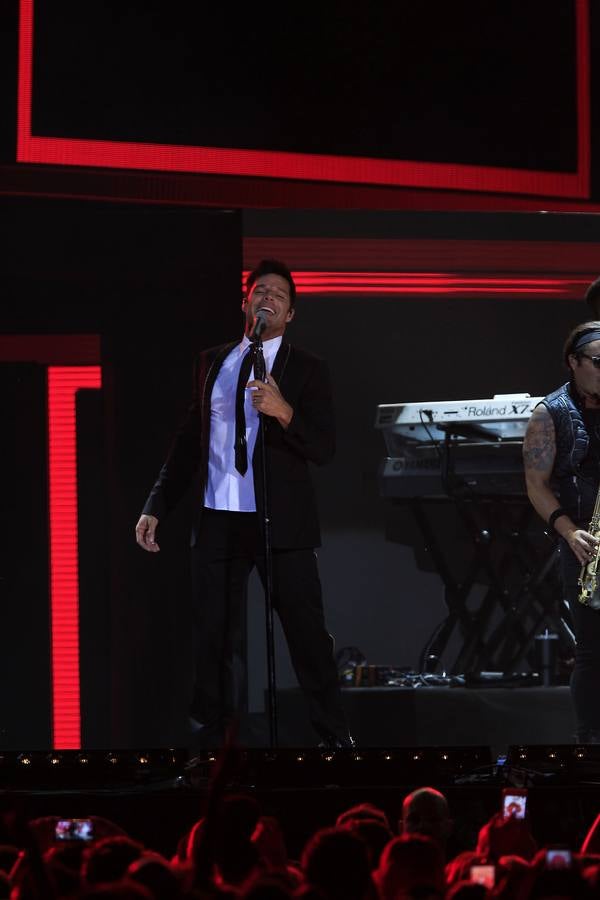 Fotos: Así fue el concierto de Ricky Martin en Sevilla