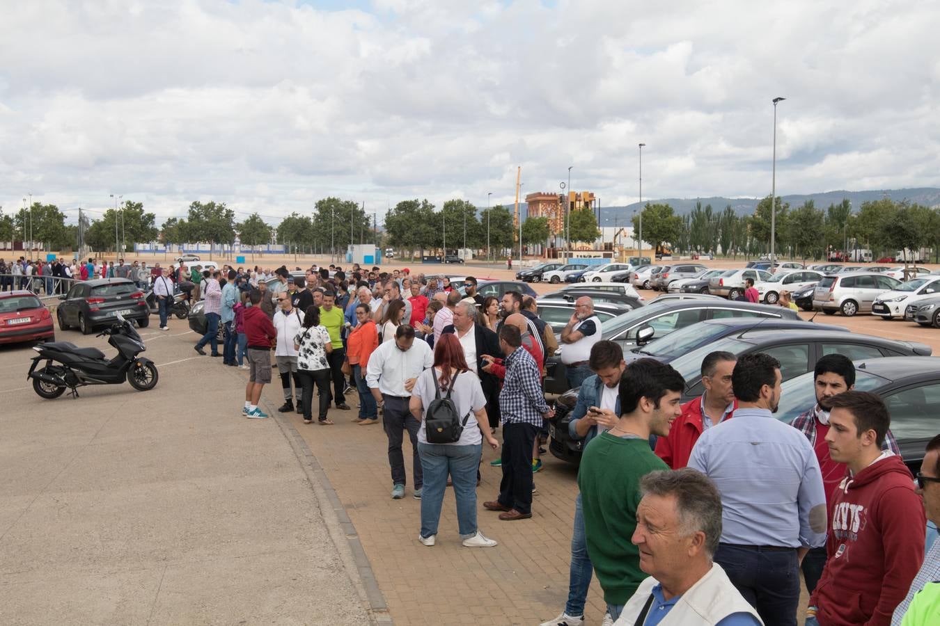 Regalan 5.000 kilos de patata nueva en Sevilla