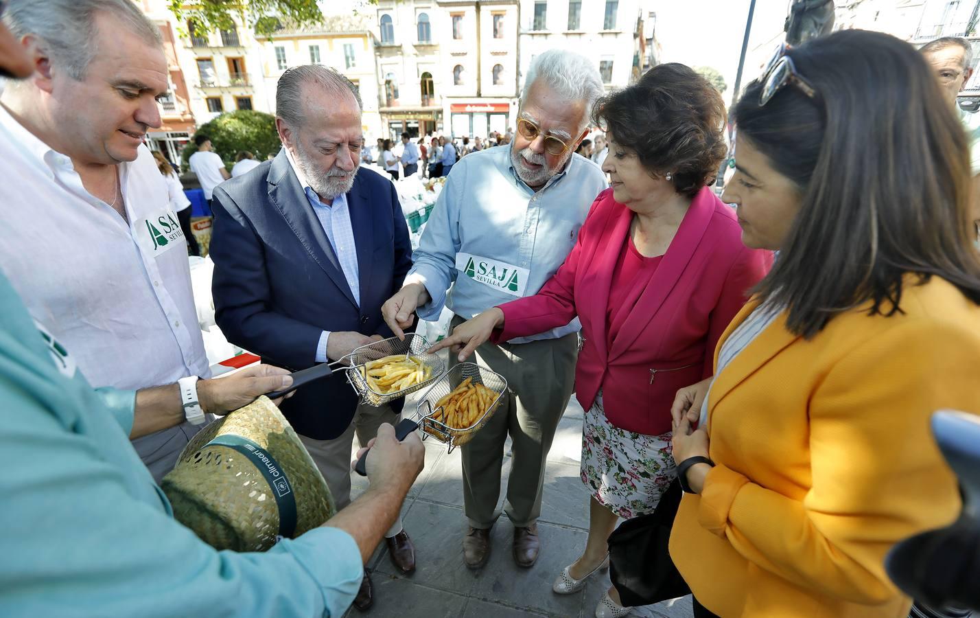 Regalan 5.000 kilos de patata nueva en Sevilla