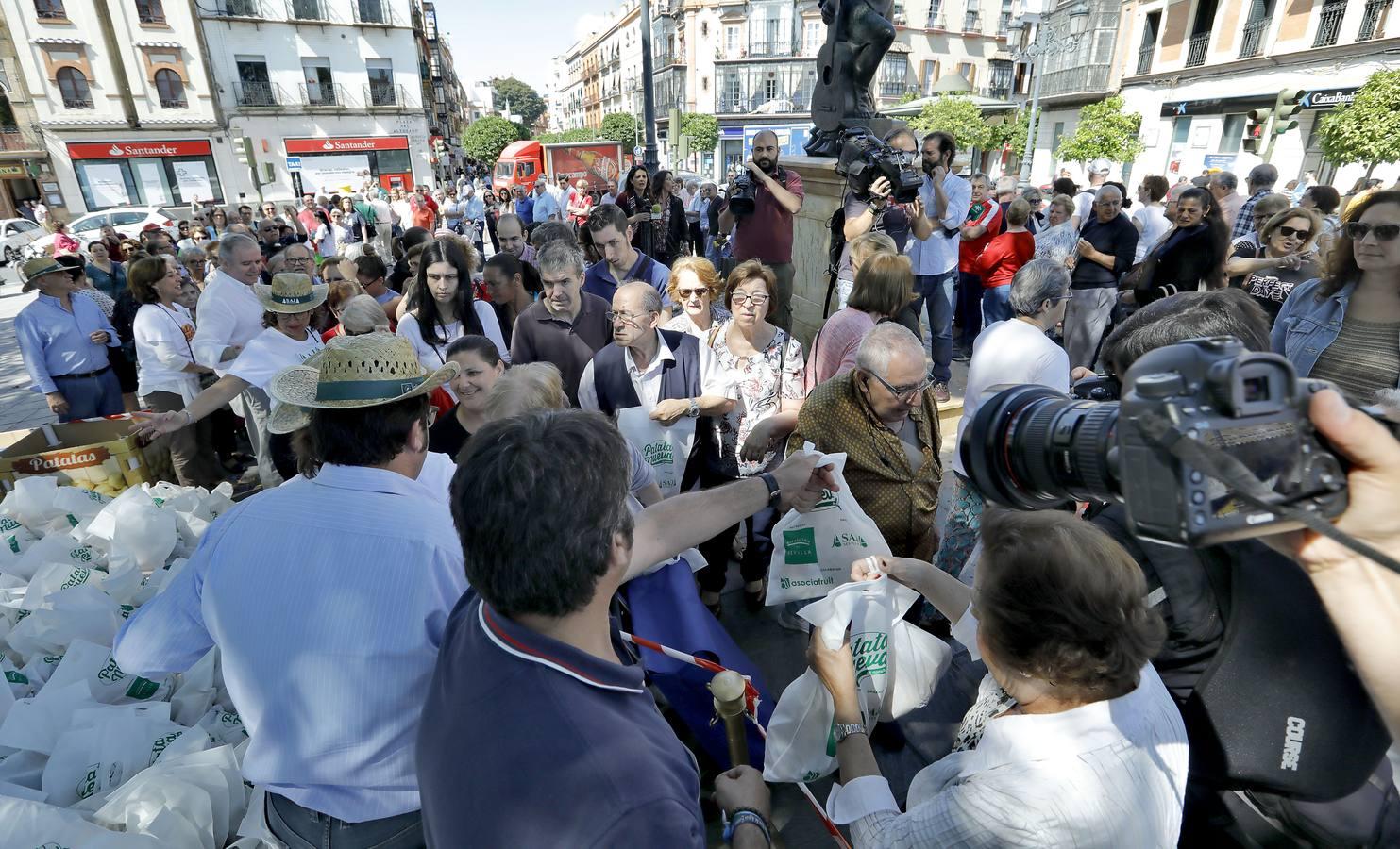 Regalan 5.000 kilos de patata nueva en Sevilla