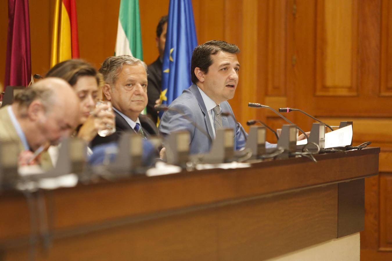 El Pleno del Ayuntamiento de Córdoba de junio de 2018, en imágenes