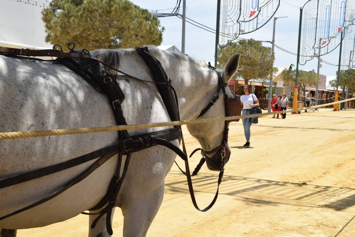FOTOS: Feria de San Antonio en Chiclana