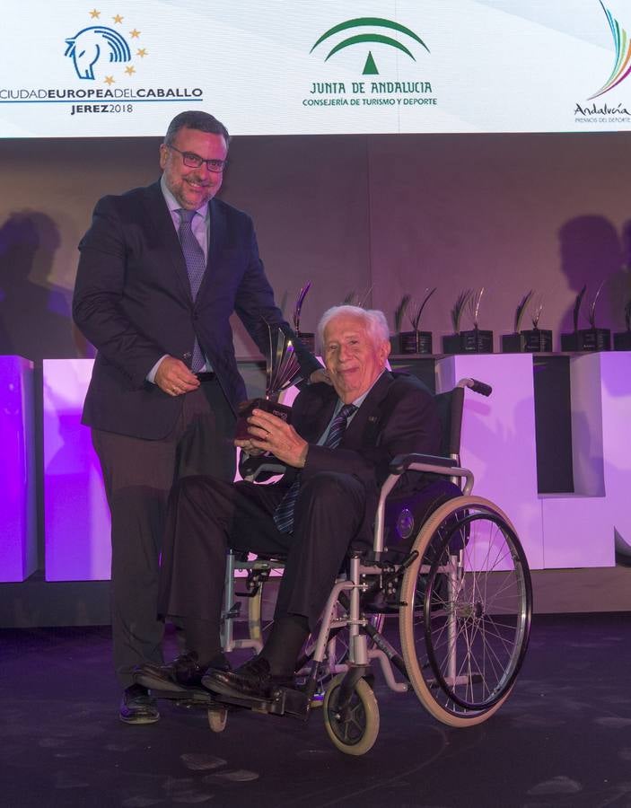 Premios Andalucía de los Deportes 2017