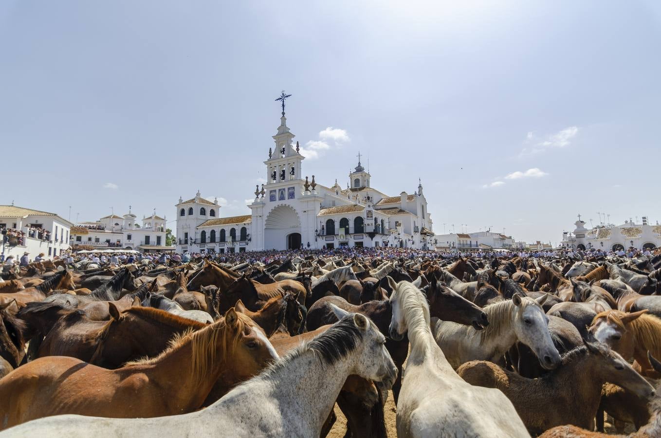 Galería: la tradicional saca de las yeguas y su llegada al Rocío