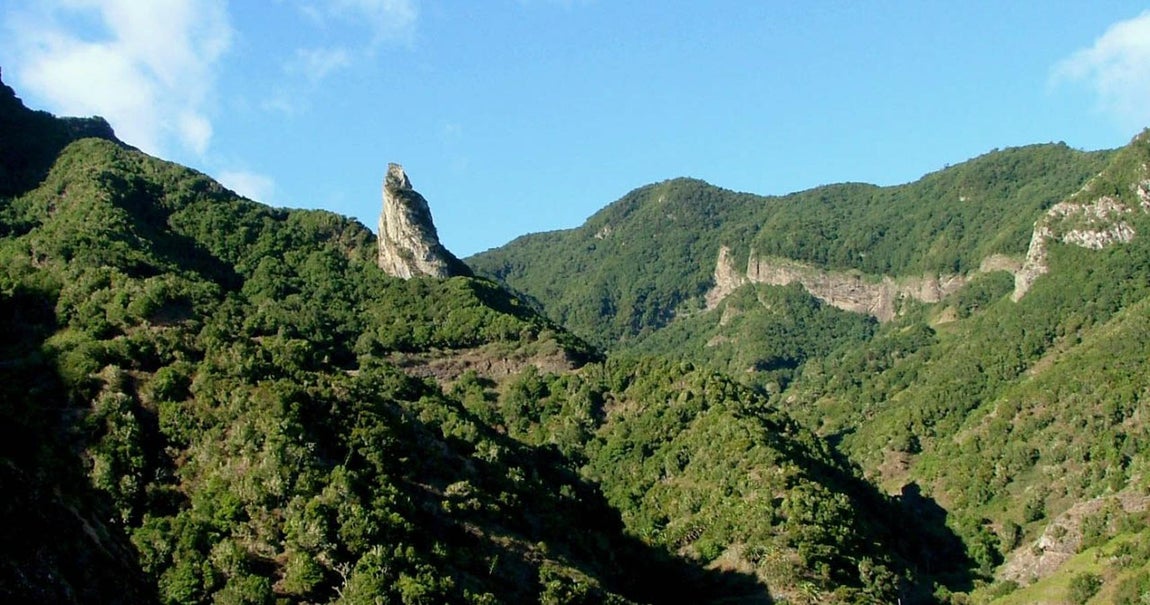 Parque nacional de Garajonay (1986). 