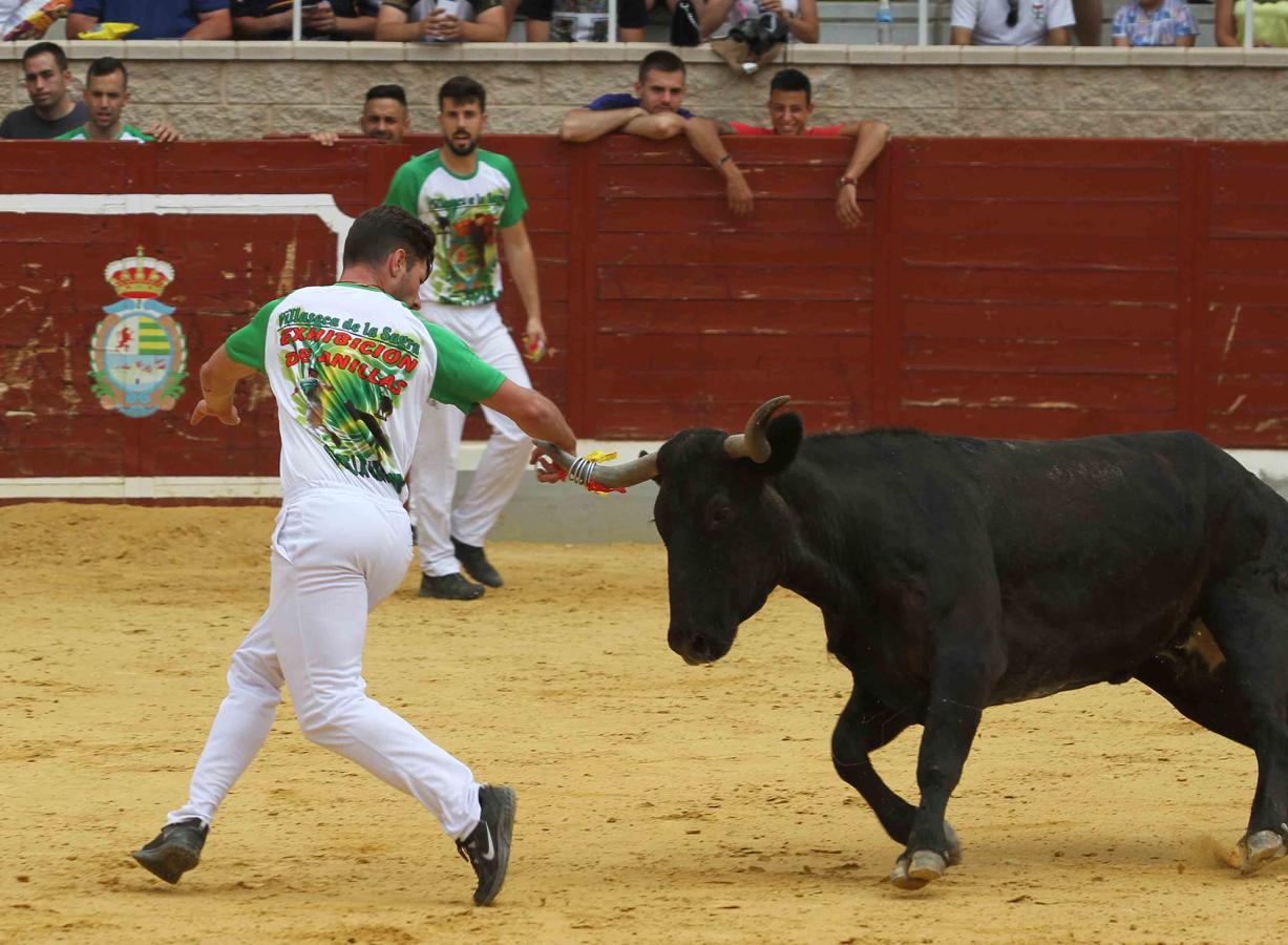 Villaseca de la Sagra se vuelca con el Día de la Tauromaquia