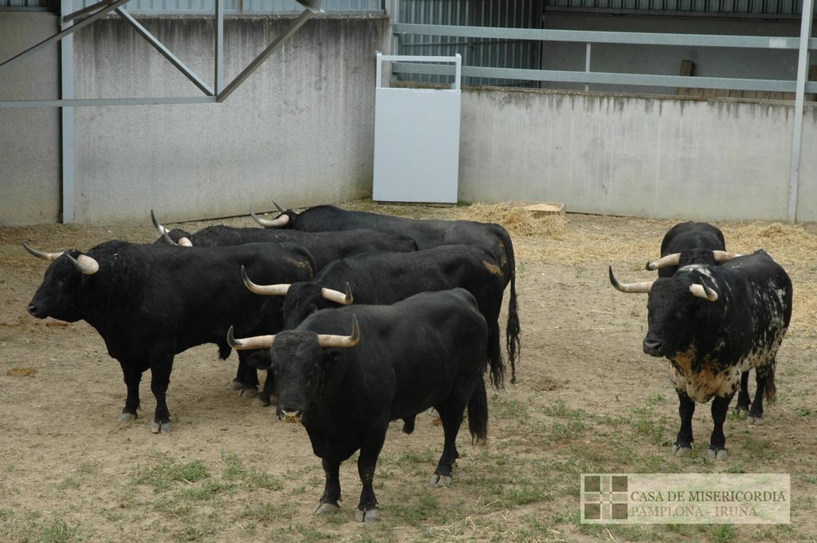 Puerto de San Lorenzo. 