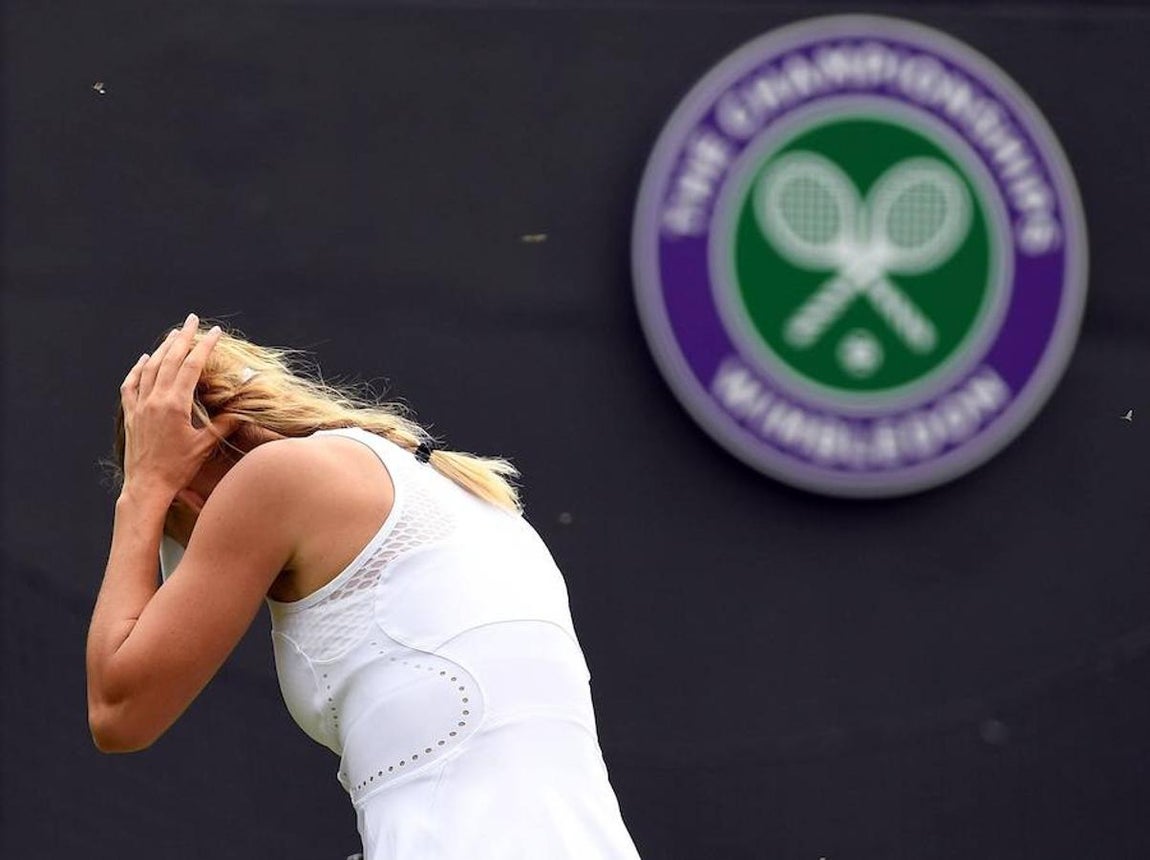 Las hormigas atacan a Caroline Wozniacki