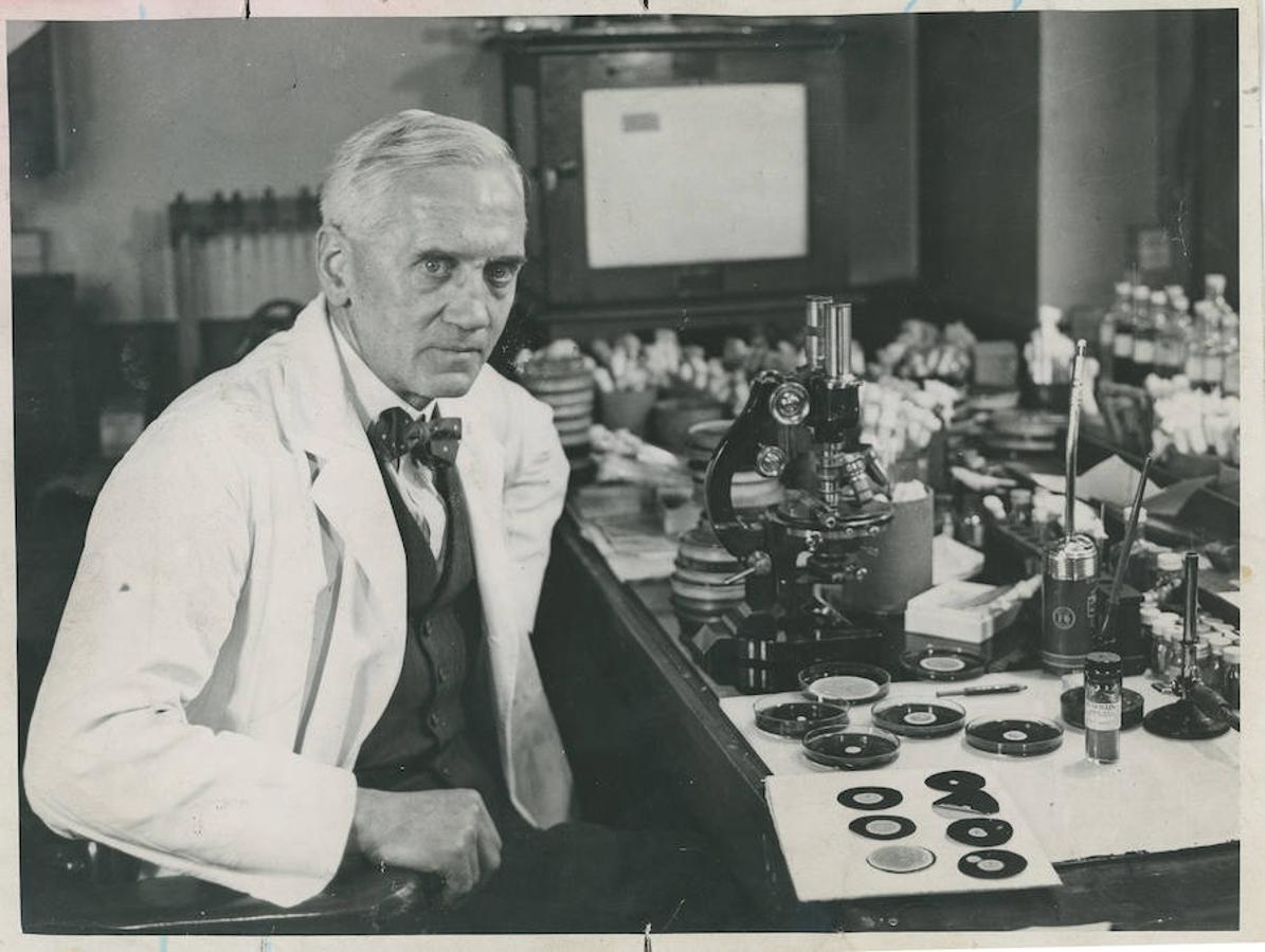 Alexander Fleming en su laboratorio de Liverpool. 