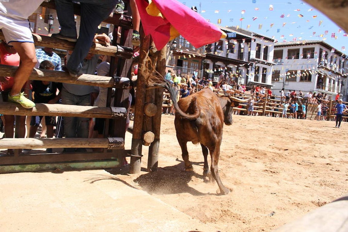 Llegan las vaquillas a La Puebla de Montalbán