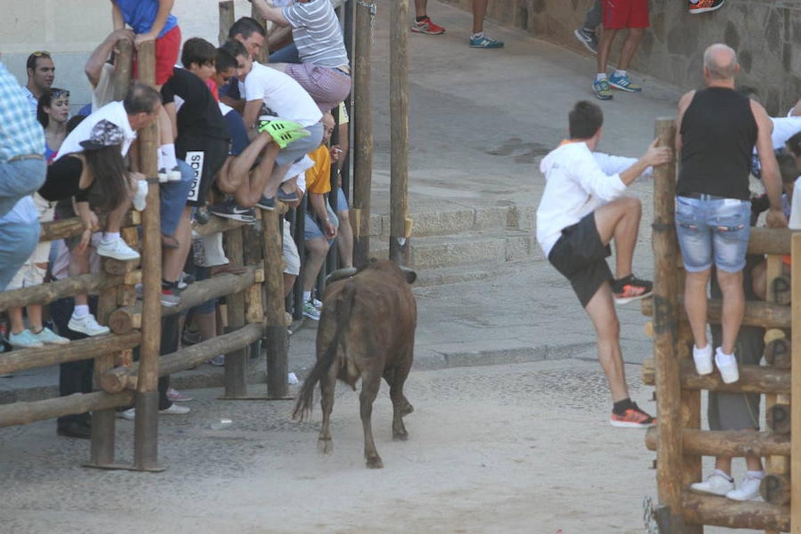 Llegan las vaquillas a La Puebla de Montalbán