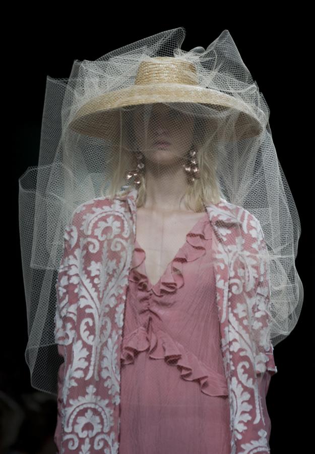 Ailanto y su amor por la naturaleza