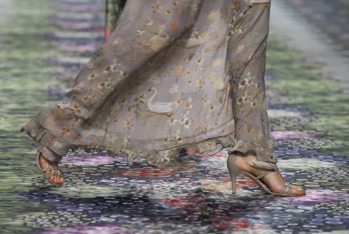 Ailanto y su amor por la naturaleza