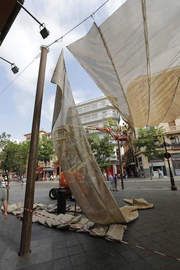 Colocación de toldos en el Centro de Sevilla por el calor