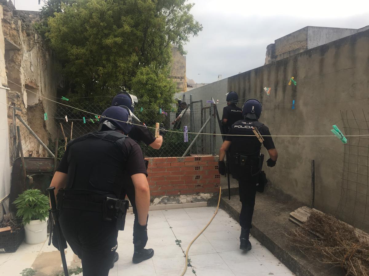 Desmantelada una plantación de marihuana en pleno centro de El Puerto