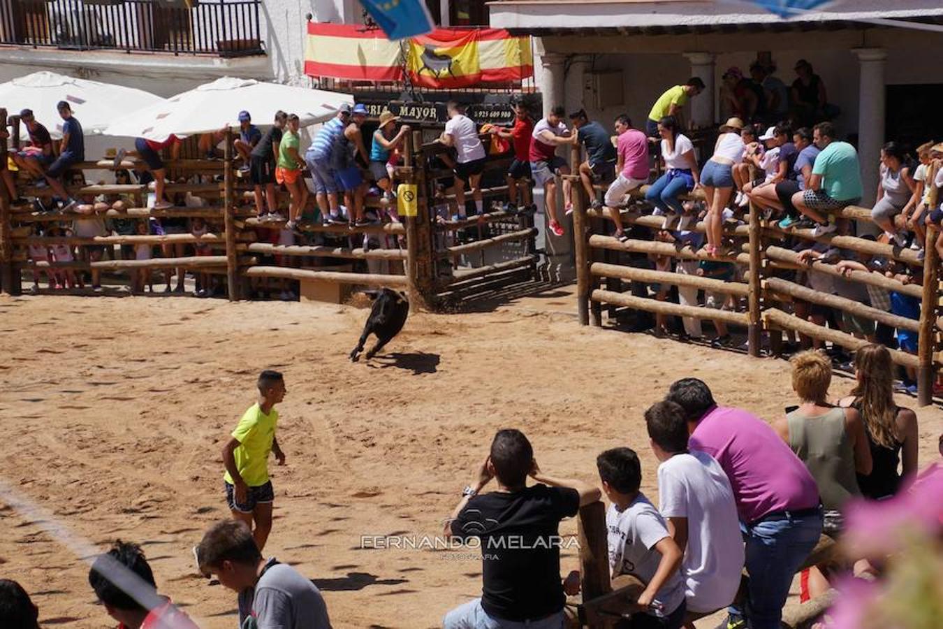 Gran afluencia de público en las fiestas de La Puebla