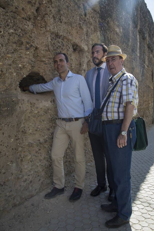 Cs denuncia el deterioro de la muralla de la Macarena