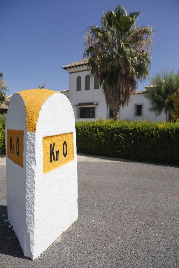 Así rehacen su vida en Córdoba las inmigrantes llegadas en patera