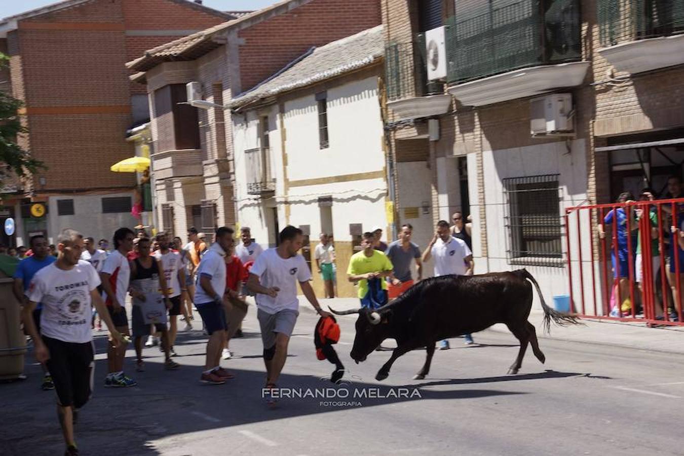 Gran participación en la «Vaca Enmaromada» de La Puebla