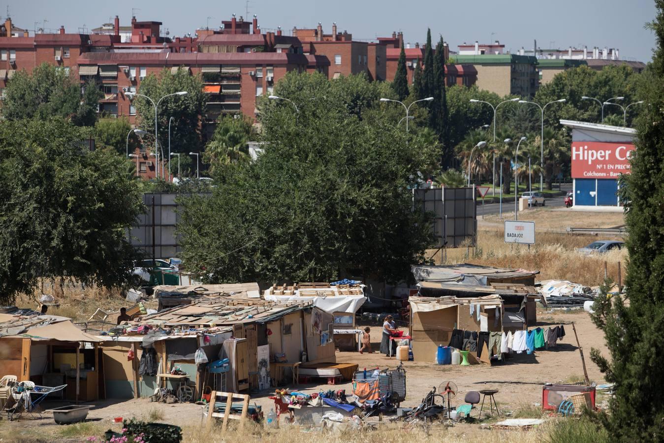 El asentamiento de chabolas en el camino Carbonel, en imágenes