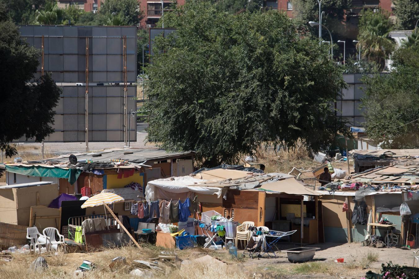 El asentamiento de chabolas en el camino Carbonel, en imágenes