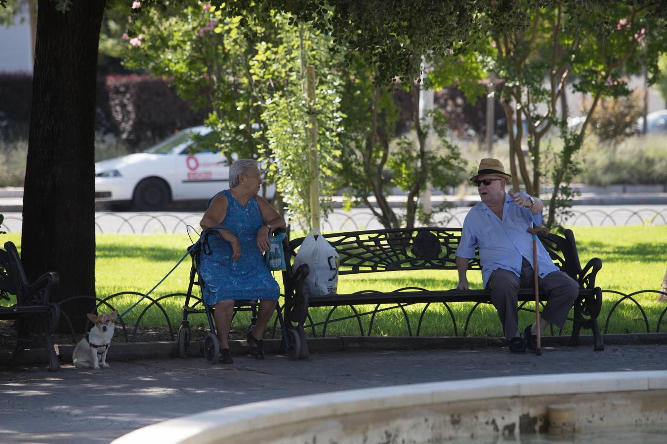 El asentamiento de chabolas en el camino Carbonel, en imágenes