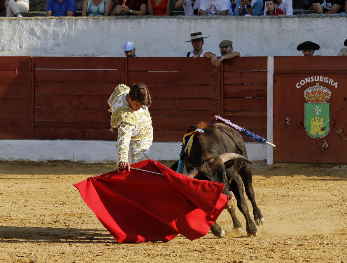 Novillada en Consuegra con David Martinez, Borja Collado y el toledano Villita