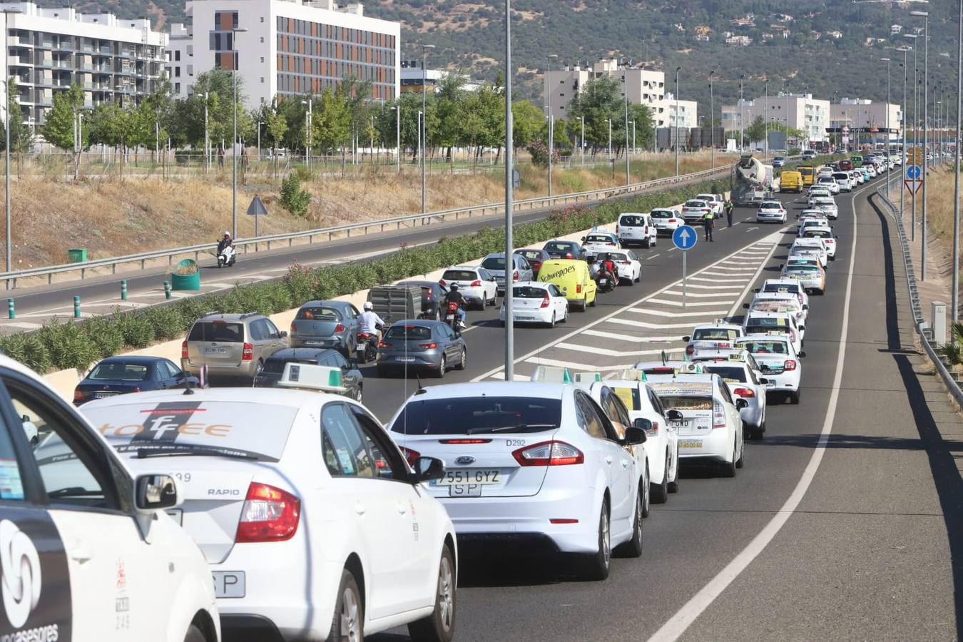 La marcha de los taxistas por Córdoba, en imágenes