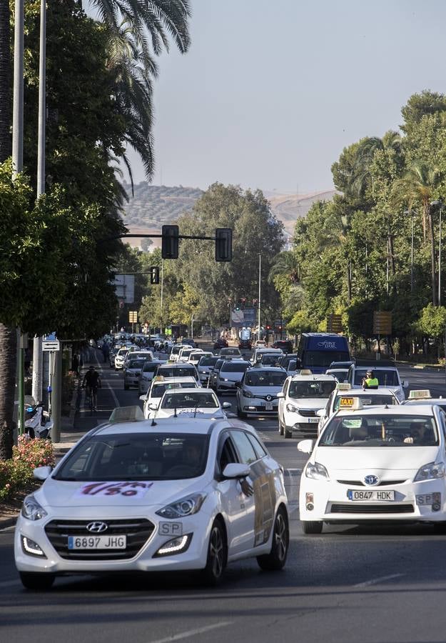 La marcha de los taxistas por Córdoba, en imágenes