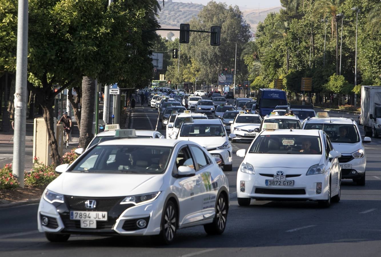 La marcha de los taxistas por Córdoba, en imágenes