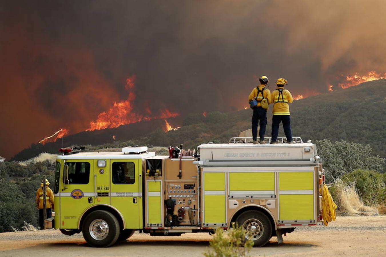 Los quince incendios de California han arrasado ya 113.300 hectáreas. 