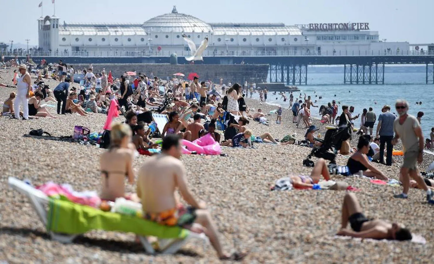 En Brighton se disfruta de la playa. Vista de una multitud de bañistas en la playa de Brighton. Reino Unido se prepara para el día más caluroso del año con temperaturas cercanas a los 36 grados mientras la ola de calor persiste en todo el país.