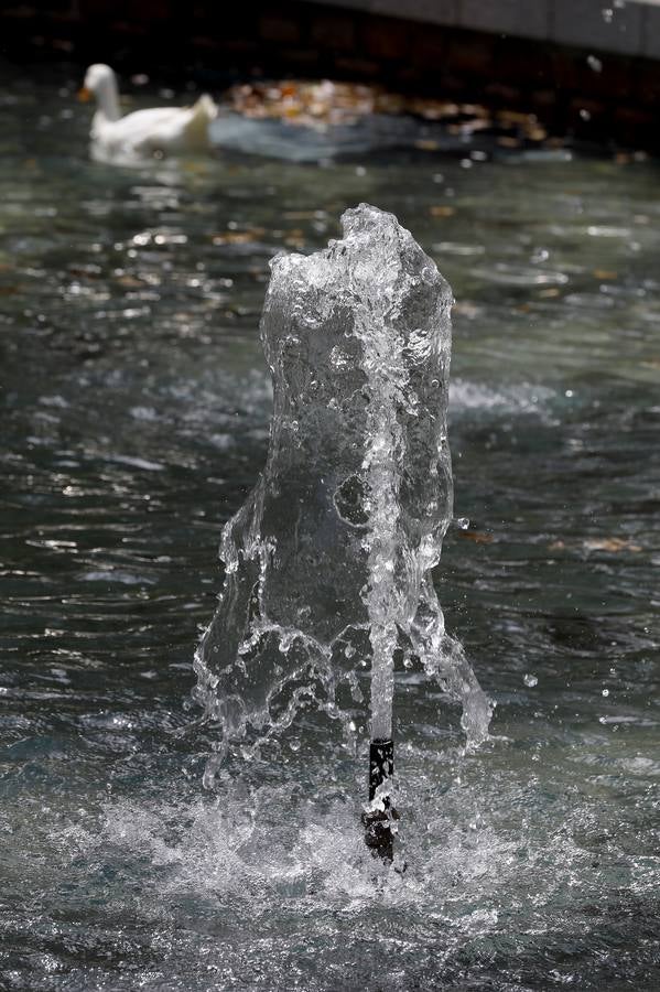 Las fuentes, un recurso contra el calor en Córdoba, en imágenes