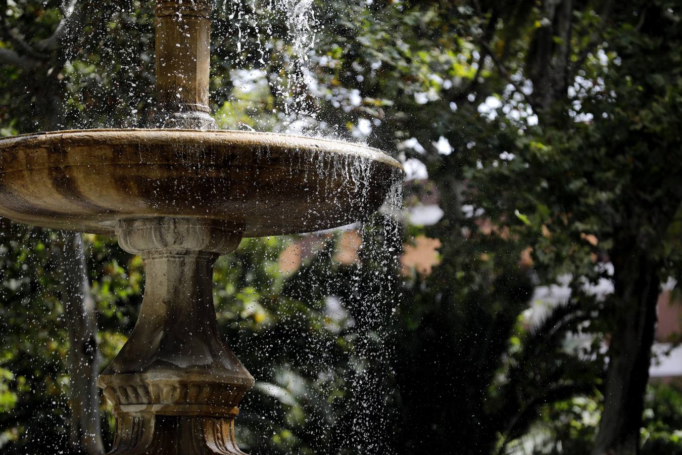 Las fuentes, un recurso contra el calor en Córdoba, en imágenes