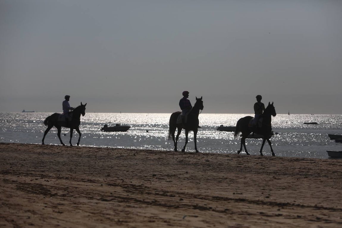 FOTOS: 3º día de Carreras de Caballos en Sanlúcar de Barrameda