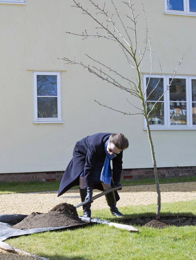 2015. La Princesa Ana planta un árbol durante su visita a una casa rural en Manuden (Essex)