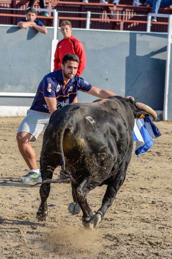 Los encierros, centro de las fiestas de Alameda de la Sagra